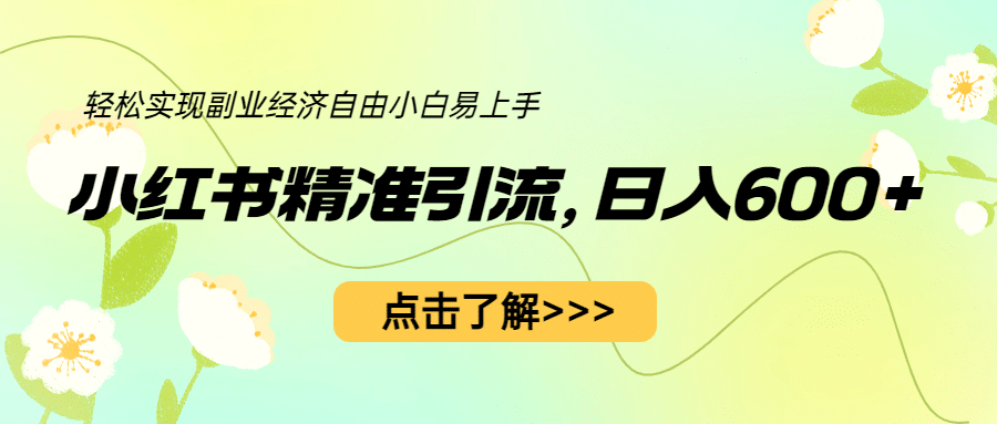 小红书精准引流，小白日入600+，轻松实现副业经济自由（教程+1153G资源）-小小小弦