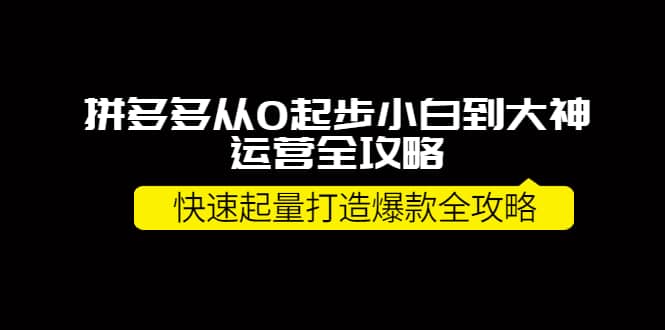 拼多多从0起步小白到大神运营全攻略-小小小弦