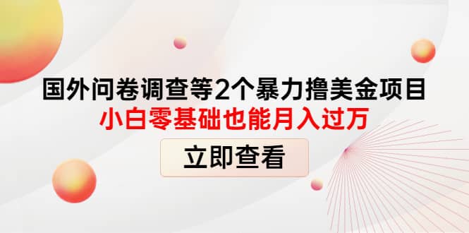 国外问卷调查等2个暴力撸美元项目，小白零基础也能月入过万-小小小弦