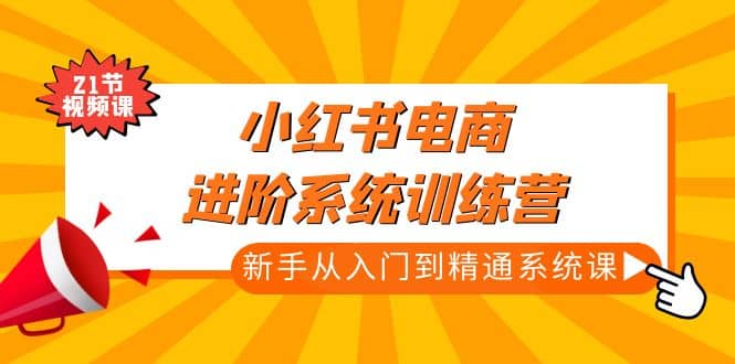 小红书电商进阶系统训练营：新手从入门到精通系统课（21节视频课）-小小小弦