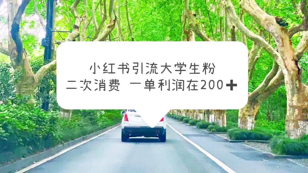 小红书引流大学生粉，变现项目，一单利润在200+（教程+资源）-小小小弦