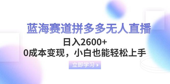 蓝海赛道拼多多无人直播，日入2600+，0成本变现，小白也能轻松上手-小小小弦