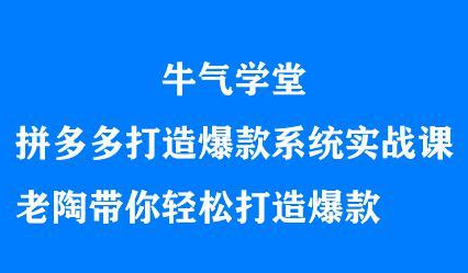 牛气学堂拼多多打造爆款系统实战课，老陶带你轻松打造爆款-小小小弦