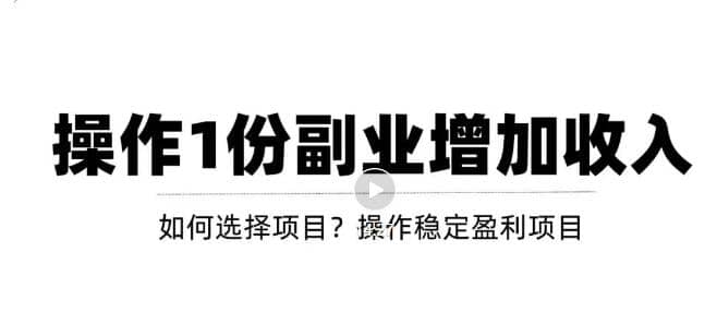 新手如何通过操作副业增加收入，从项目选择到玩法分享！【视频教程】-小小小弦