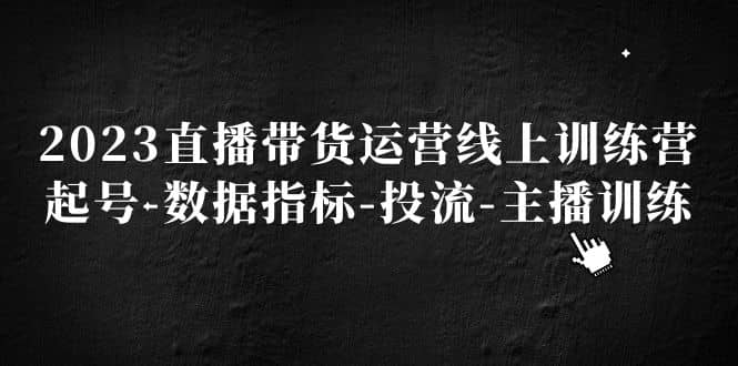 2023直播带货运营线上训练营，起号-数据指标-投流-主播训练-小小小弦