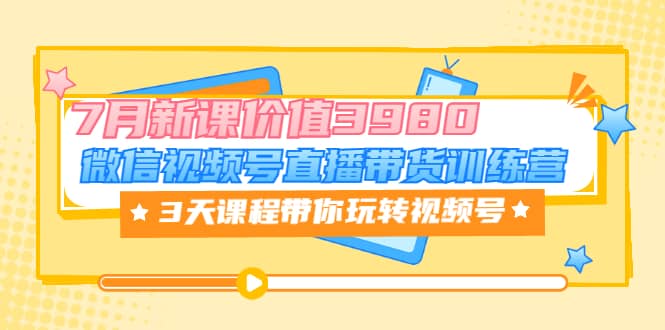 微信视频号直播带货训练营，3天课程带你玩转视频号：7月新课价值3980-小小小弦