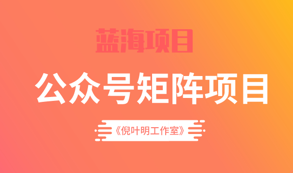 蓝海公众号矩阵项目训练营，0粉冷启动，公众号矩阵账号粉丝突破30w-小小小弦