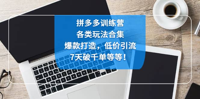 拼多多训练营：各玩法合集，爆款打造，低价引流，7天破千单等等-小小小弦