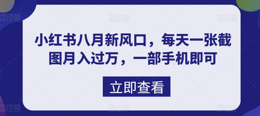 八月新风口，小红书虚拟项目一天收入1000+，实战揭秘-小小小弦