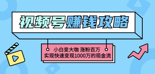 玩转微信视频号赚钱：小白变大咖涨粉百万实现快速变现1000万的现金流-小小小弦