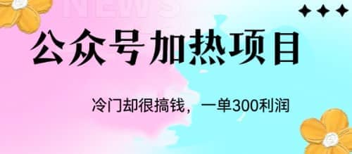 冷门公众号加热项目，一单利润300+-小小小弦