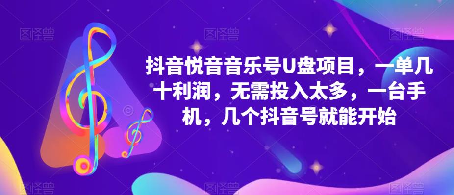 抖音音乐号U盘项目 一单几十利润 无需投入太多 一台手机 几个抖音号就开始-小小小弦