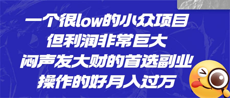 一个很low的小众项目，但利润非常巨大，闷声发大财的首选副业，月入过万-小小小弦