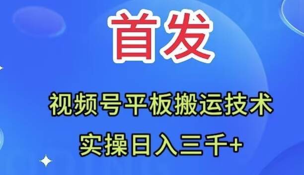 全网首发：视频号平板搬运技术，实操日入三千＋-小小小弦