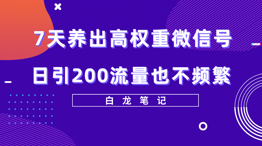 7天养出高权重微信号，日引200流量也不频繁，方法价值3680元-小小小弦