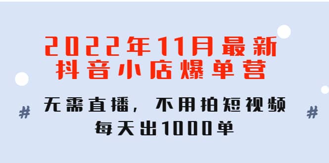 2022年11月最新抖音小店爆单训练营：无需直播，不用拍短视频，每天出1000单-小小小弦