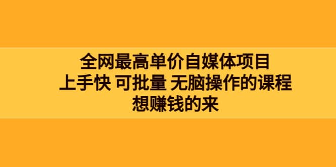 全网最单高价自媒体项目：上手快 可批量 无脑操作的课程，想赚钱的来-小小小弦