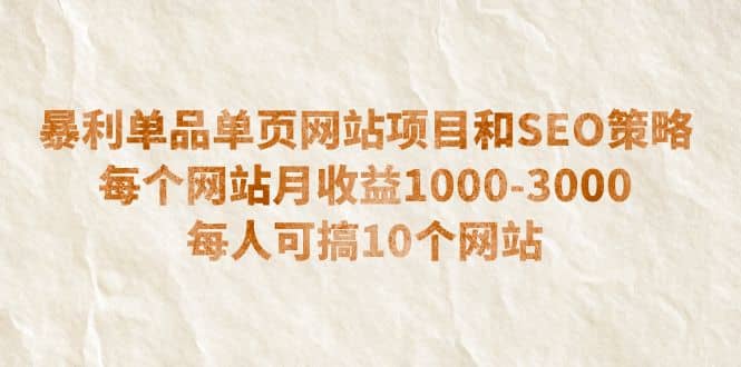 暴利单品单页网站项目和SEO策略 每个网站月收益1000-3000 每人可搞10个-小小小弦