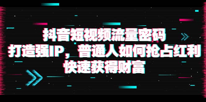 抖音短视频流量密码：打造强IP，普通人如何抢占红利，快速获得财富-小小小弦