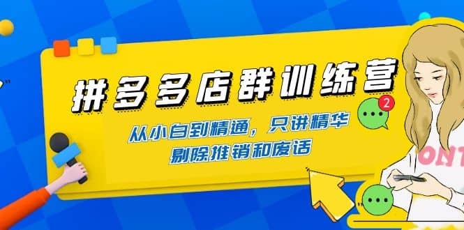 拼多多店群训练营：从小白到精通，只讲精华，剔除推销和废话-小小小弦