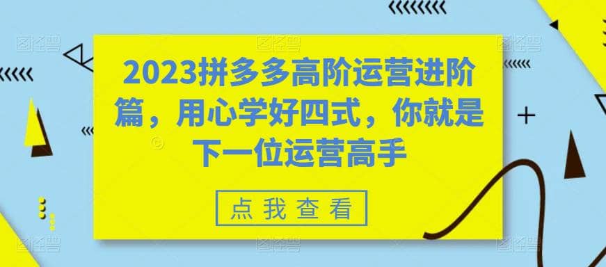 2023拼多多高阶运营进阶篇，用心学好四式，你就是下一位运营高手-小小小弦