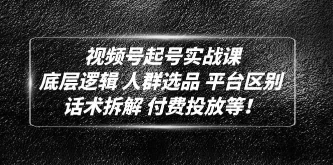 视频号起号实战课：底层逻辑 人群选品 平台区别 话术拆解 付费投放等-小小小弦