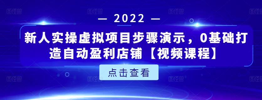 新人实操虚拟项目步骤演示，0基础打造自动盈利店铺【视频课程】-小小小弦