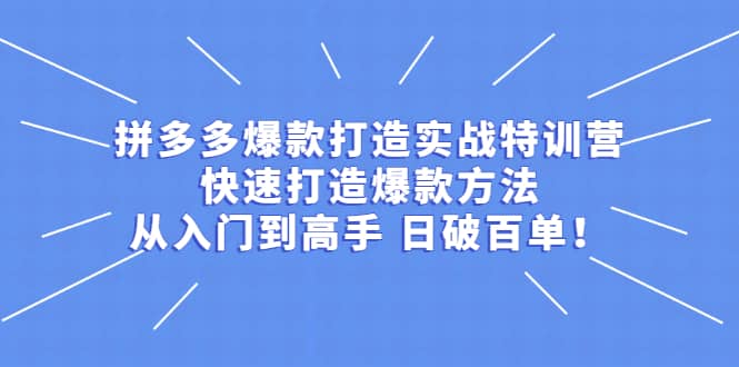 拼多多爆款打造实战特训营：快速打造爆款方法，从入门到高手 日破百单-小小小弦