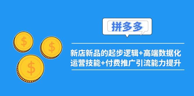 2022拼多多：新店新品的起步逻辑+高端数据化运营技能+付费推广引流能力提升-小小小弦