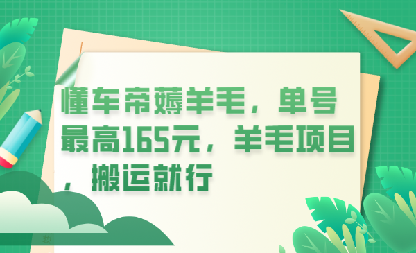 懂车帝薅羊毛，单号最高165元，羊毛项目，搬运就行-小小小弦