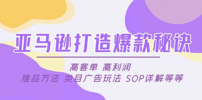 亚马逊打造爆款秘诀：高客单 高利润 推品方法 类目广告玩法 SOP详解等等-小小小弦