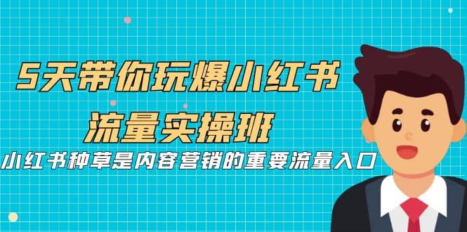 5天带你玩爆小红书流量实操班，小红书种草是内容营销的重要流量入口-小小小弦