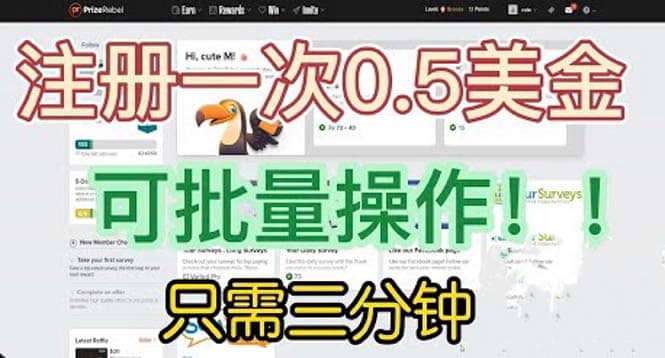 国外项目注册一次0.5美金 只需三分钟无脑操作 可批量放大 小白工作室福利-小小小弦