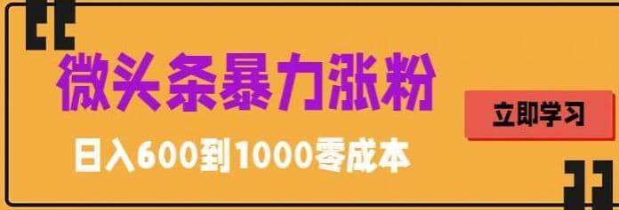 微头条暴力涨粉技巧搬运文案就能涨几万粉丝，简单0成本，日赚600-小小小弦