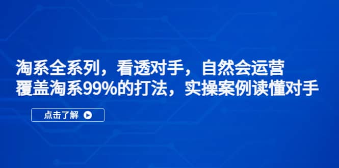 淘系全系列，看透对手，自然会运营，覆盖淘系99%·打法，实操案例读懂对手-小小小弦