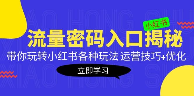 小红书流量密码入口揭秘：带你玩转小红书各种玩法 运营技巧+优化-小小小弦