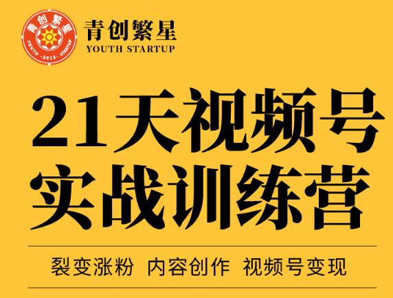 张萌21天视频号实战训练营，裂变涨粉、内容创作、视频号变现 价值298元-小小小弦