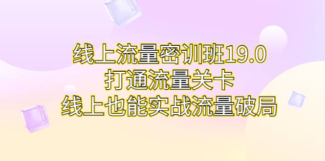 线上流量密训班19.0，打通流量关卡，线上也能实战流量破局-小小小弦