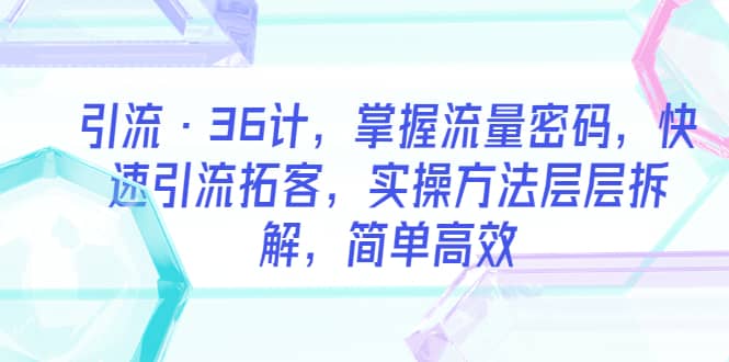 引流·36计，掌握流量密码，快速引流拓客，实操方法层层拆解，简单高效-小小小弦