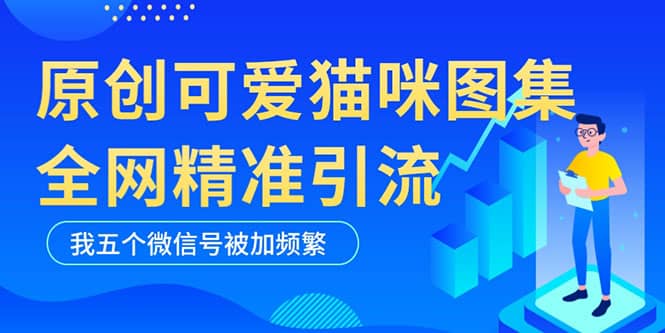 黑科技纯原创可爱猫咪图片，全网精准引流，实操5个VX号被加频繁-小小小弦