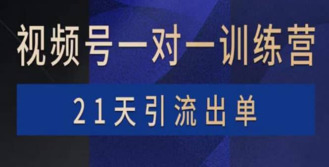 视频号训练营：带货，涨粉，直播，游戏，四大变现新方向，21天引流出单-小小小弦