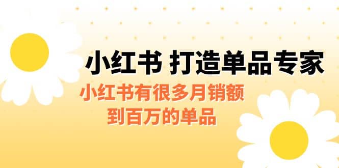 某公众号付费文章《小红书 打造单品专家》小红书有很多月销额到百万的单品-小小小弦