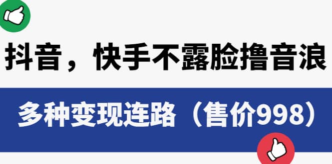 抖音，快手不露脸撸音浪项目，多种变现连路（售价998）-小小小弦