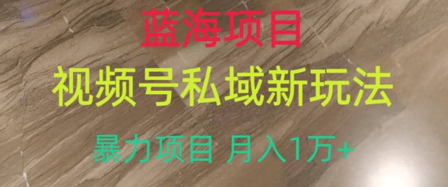 蓝海项目，视频号私域新玩法，暴力项目月入1万+【揭秘】-小小小弦