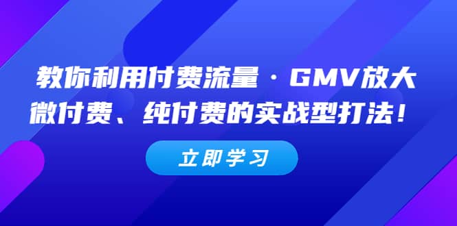 教你利用付费流量·GMV放大，微付费、纯付费的实战型打法-小小小弦