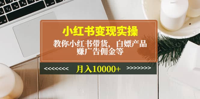 小红书变现实操：教你小红书带货，白嫖产品，赚广告佣金等-小小小弦