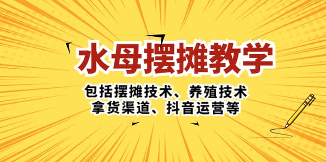 水母·摆摊教学，包括摆摊技术、养殖技术、拿货渠道、抖音运营等-小小小弦