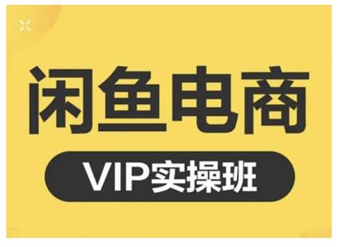 闲鱼电商零基础入门到进阶VIP实战课程，帮助你掌握闲鱼电商所需的各项技能-小小小弦