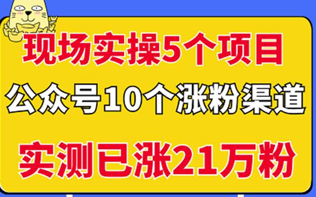 现场实操5个公众号项目，10个涨粉渠道，实测已涨21万粉！-小小小弦