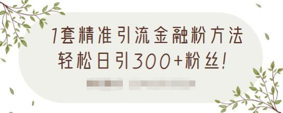 1套精准引流金融粉方法，轻松日引300+粉丝【视频课程】-小小小弦